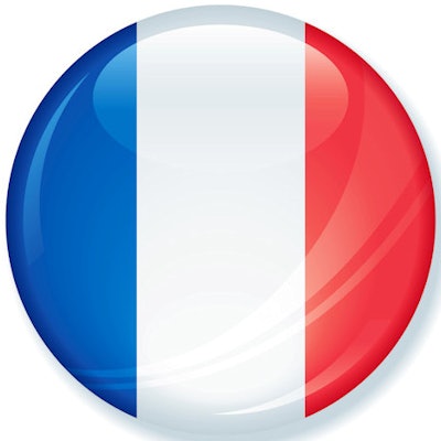 2017 11 13 23 44 0984 France Flag Button 400