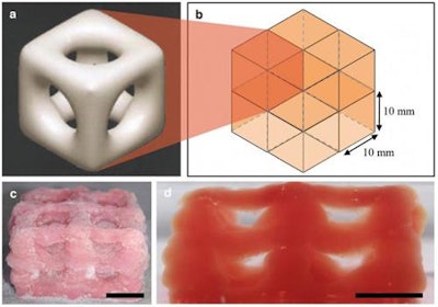 The 3D-printed scaffold unit as (a) a cylindrical pore microstructure, (b) a layout of the 8-unit cell, (c) a thawed, 3D-printed 8-unit structure in isometric view, and (d) a frozen, 3D-printed 8-unit structure in side view. Scale bars: (c) 10 mm and (d) 5 mm. Images courtesy of Imperial College London.