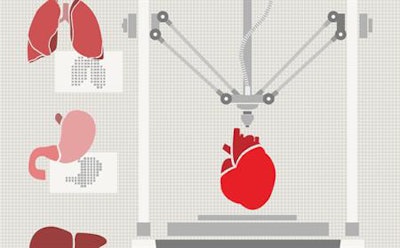 The heart could be a good starting point for the bioprinting industry.