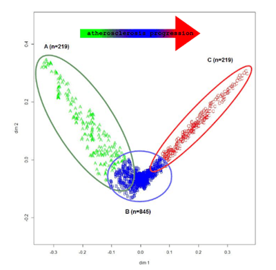 Machine-learning analysis and mapping of imaging measurements in asymptomatic screening subjects found data clusters that reflect three phenotypes for different stages of atherosclerosis progression. All images courtesy of Dr. Dante Chiappino.