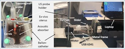 Ex vivo uterus used in the study and the experimental setup.