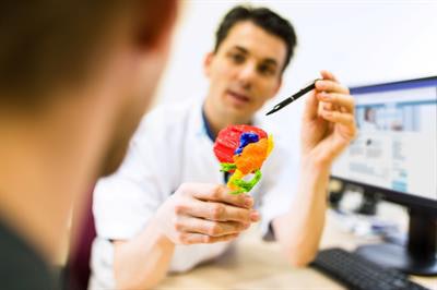 A 3D-printed glioma with surrounding structures. Image courtesy of Dr. Mark ter Laan, PhD.