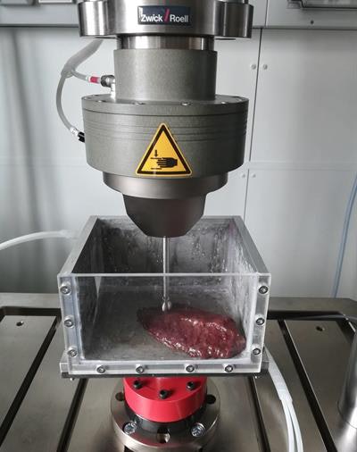 Identifying the biomechanical properties of organ tissue for 3D bioprinting. Image courtesy of Dieter Pahr, PhD, from Karl Landsteiner University of Health Sciences in Krems.