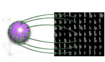 A multidimensional hypersphere with discrete points relating to the feature space within images.