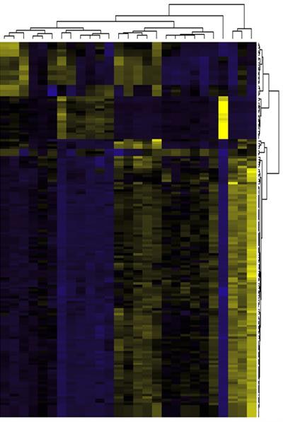 This heatmap represents parameter clustering from which new data can emerge when radiologists use radiomics in an 'unsupervised' and discovery-driven manner.
