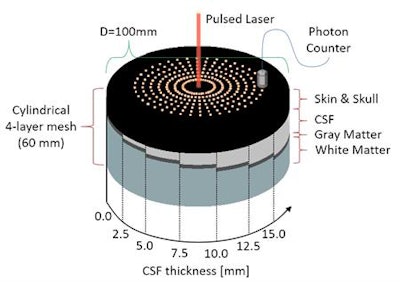 The cylindrical four-layer mesh volumes used in the simulations and the locations of source and detectors on their top layer.
