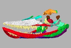 2019 01 08 18 54 1170 2019 01 08 Ichthyosaur Skull