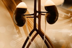 2019 01 15 00 00 8588 Kidneys 400