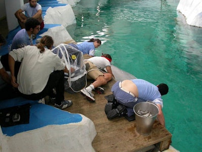 Imaging examinations often can be time-consuming and require patience, skill, and creativity. Keeping equipment dry is crucial.