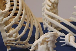 2019 01 28 18 24 8876 2019 01 28 3 D Printed Thorax 20190128183214