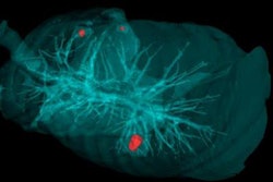 2019 02 01 23 38 5575 Ai Software Ct 20190201233725