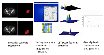 TexLab 2.0 workflow. Image courtesy of Eric Aboagye, PhD.