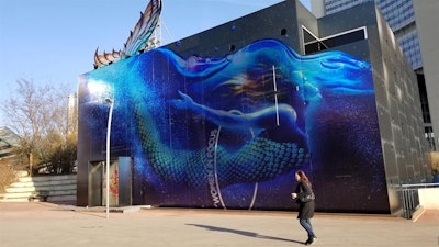 Women in Focus was a new special area of ECR 2019 dedicated to women in radiology.