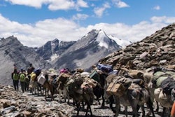 2019 04 03 21 50 4566 Himalayan Trek 20190403210437