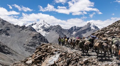 The Himalayan Health Exchange organizes a trek to provide medical and dental services to remote trans-Himalayan villages. This horse and donkey caravan is on the ascent to Shingo La pass at an elevation of 16,600 ft. Image courtesy of L. Nolting et al, J Ultrasound Med, 10.1002/jum.14923.