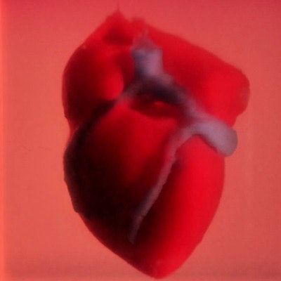 2019 04 22 16 34 7210 3 D Bioprinted Heart 400