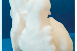 2019 09 30 17 19 0545 3 D Printed Heart Chd 20190930170202