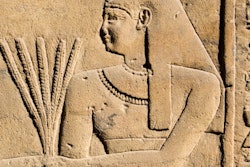 2020 01 28 17 05 1617 Egypt Ancient Wheat 400