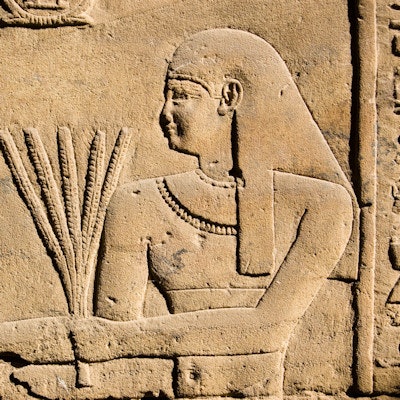 2020 01 28 17 05 1617 Egypt Ancient Wheat 400