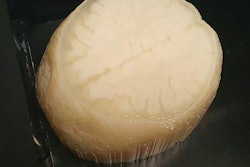 2020 03 18 16 11 9841 2020 03 18 3 D Printed Brain 20200318162400