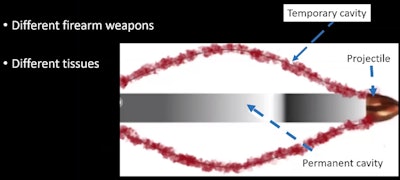 Gunshot wounds comprise a permanent and temporary cavity, regardless of firearm and tissue.
