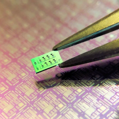 A 3 x 6-mm silicon chip with multiple SWED detectors. The black engravings are the circuits that connect the detectors, which are not visible. Image courtesy of Helmholtz Zentrum Muenchen and Roman Shnaiderman.