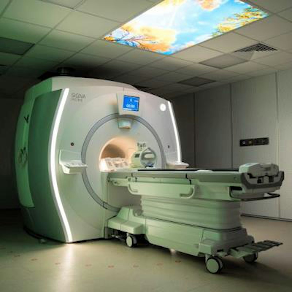 Africa secures 1st PET/MRI scanner | AuntMinnieEurope