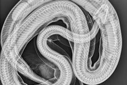 2020 12 07 19 21 2550 2020 12 08 Python X Ray 20201207191459