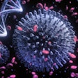 2020 11 05 18 03 7196 3d Closeup Coronavirus 400