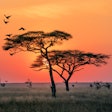 2021 01 26 19 39 9542 Tanzania Sunrise 400