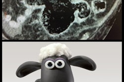 2021 04 26 20 58 8613 2021 04 27 Fig 8 Pareidolia