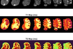 2021 06 04 20 01 6084 2021 06 08 Low Field Mri Ame1 20210604201147