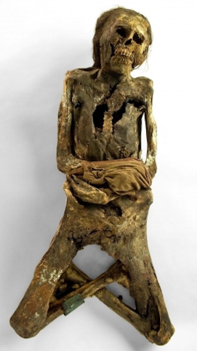 From x-rays to x-files: Attention focuses on mummies at JFR