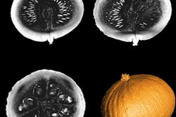 2021 10 13 17 35 7701 2021 10 13 Pumpkin