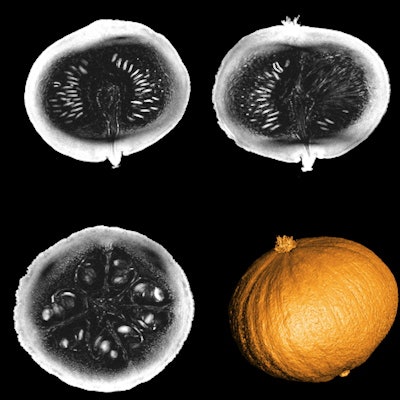 MRI scans of a pumpkin at 11.7 tesla. Image courtesy of Drs. N. Boulant, C. Lerman, L. Quettier, and CEA-Paris-Saclay.