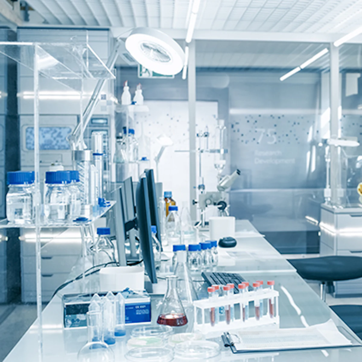 Minimalist Auntie Tshirt - Etsy