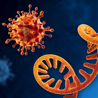 2021 11 08 23 00 9241 Sars Co V 2 Genome Rna 400