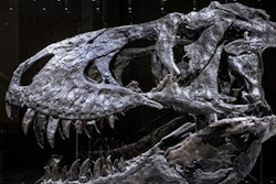 2021 12 10 17 30 0268 2021 11 22 18 27 6646 2021 11 29 Trex Fig 2 20211210170401