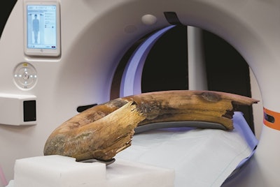 Photograph of the positioning of the woolly mammoth tusk in the scanner. The tusk was fixed in a fiberglass frame to guarantee transport and table-movement stability. There was 1 cm of clearance within the gantry bore. Image courtesy of Radiology.