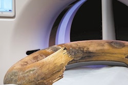 2022 08 12 15 21 9266 2022 08 09 Woolly Mammoth 400