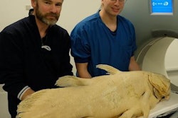 2022 08 30 23 25 2450 2022 08 31 Coelacanth And Two Authors At Ct Scanner 1100 20220831001145