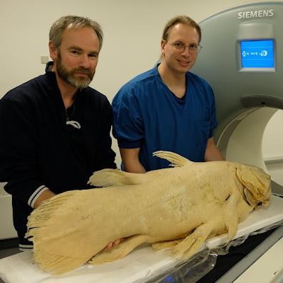 2022 08 30 23 25 2450 2022 08 31 Coelacanth And Two Authors At Ct Scanner 1100 20220831001145