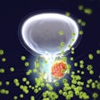 2021 02 12 16 33 4471 3 D Prostate Cancer Viral 400