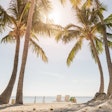 2022 12 01 00 14 4246 Tropical Beach Palm Trees Sunny Sky 400