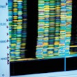 2023 02 27 17 08 8676 Genomic Analysis 400
