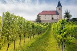 2023 02 28 05 55 8858 Austria Vineyard 400