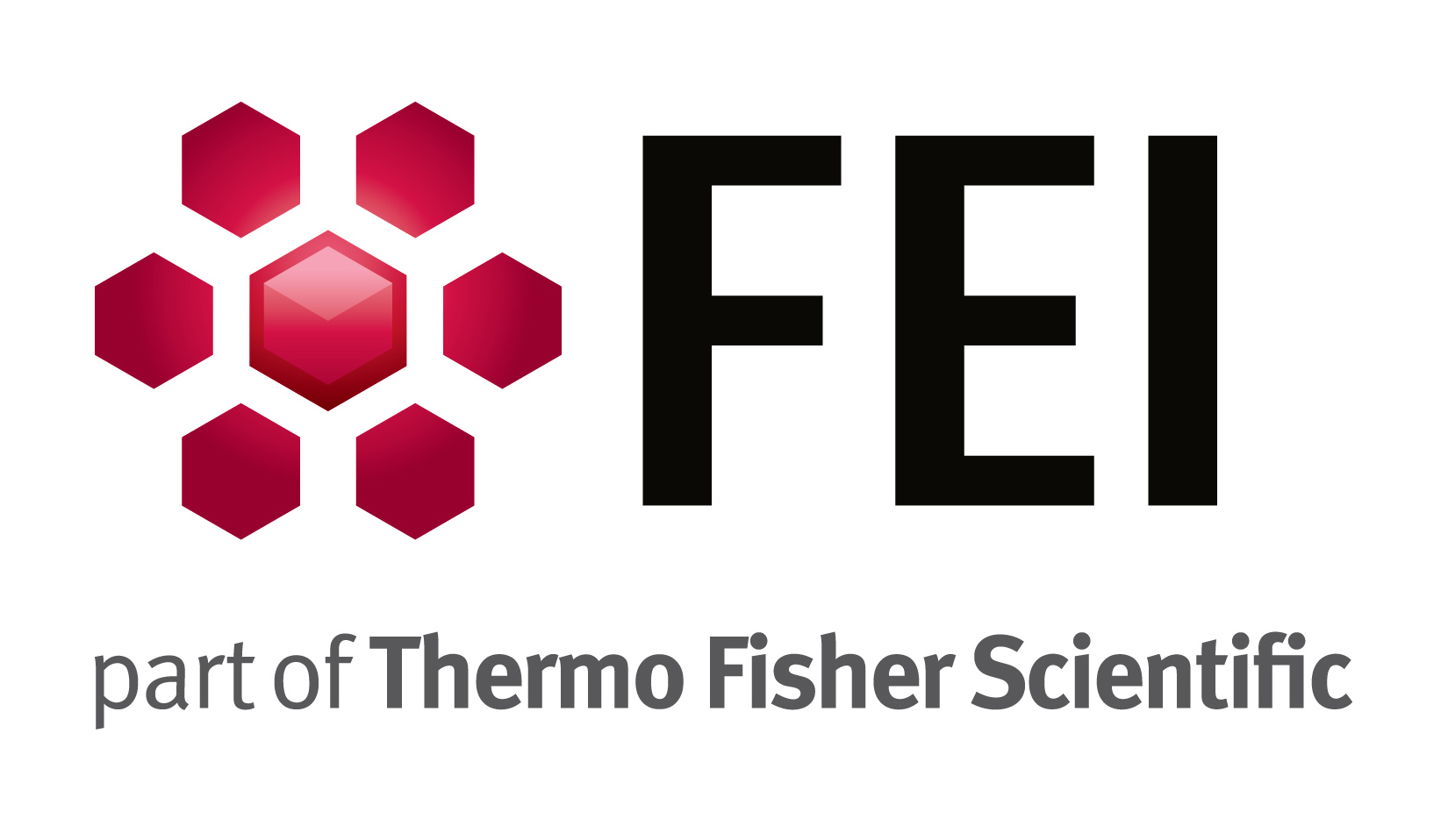 Thermo Scientific Logo