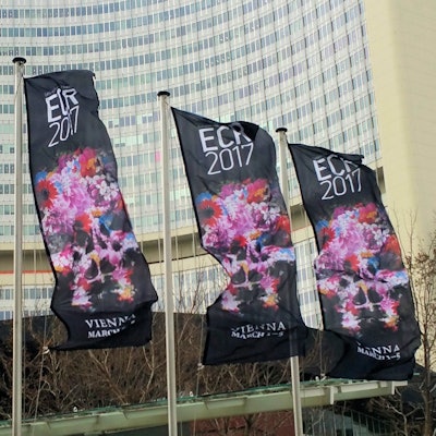 2018 02 22 18 21 5276 Ecr Flags 400