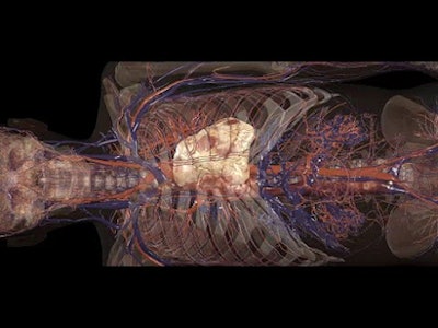 A still of a 3D cadaver featured in Anatomage's Table 10 software. Image courtesy of Anatomage.