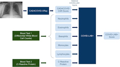 A schematic illustration of the AI systems (dark blue boxes) used in this study. The green boxes indicate a point-of-care blood test procedure. The pale blue boxes indicate numeric values which are inputs or outputs of the systems as shown. The COVID-LAB+ system does not require all the indicated inputs to be present. Image courtesy of Scientific Reports.